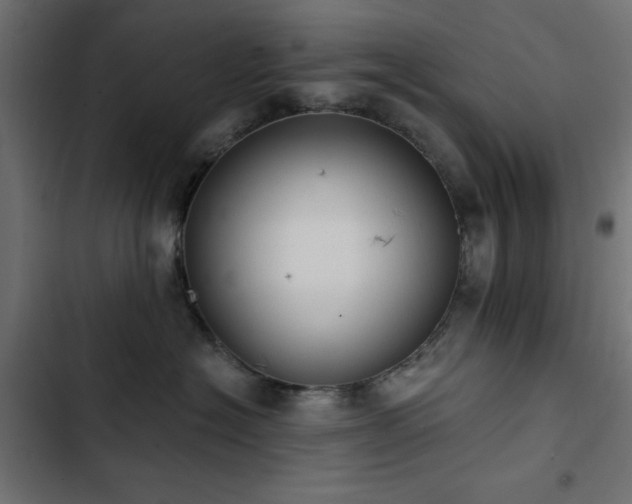 X0000103490574200809121717