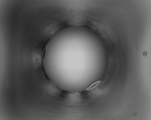 X0000103490576200809121717