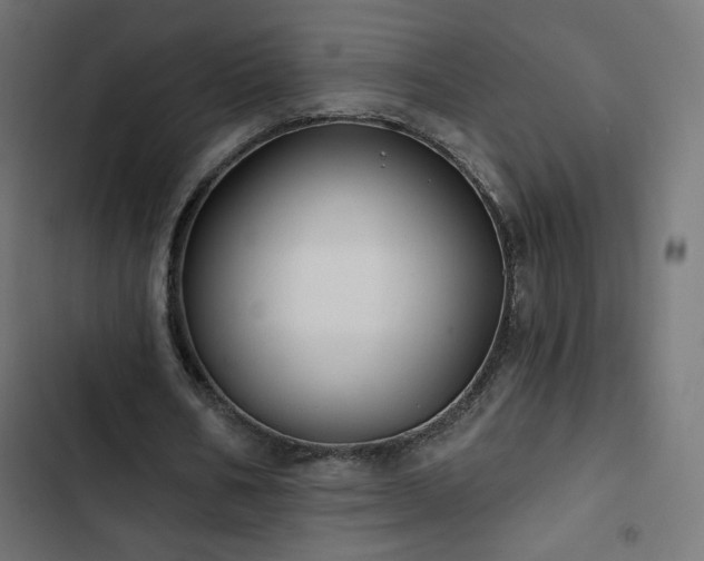 X0000103490578200809121717