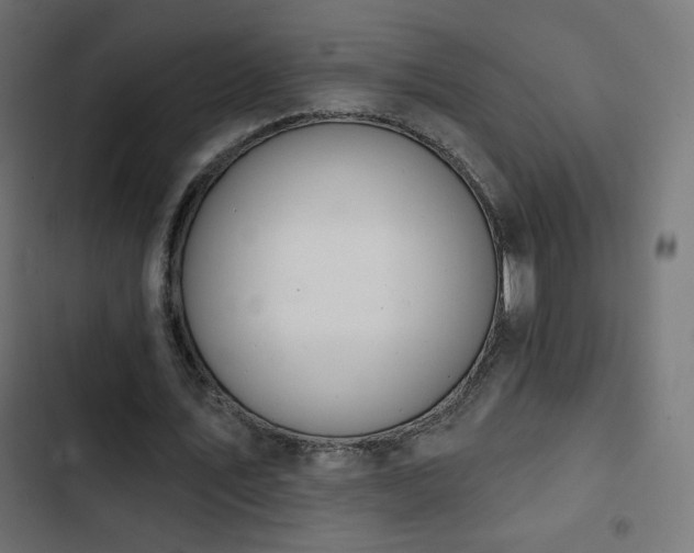 X0000103490579200809121717