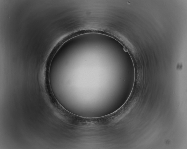 X0000103490580200809121717