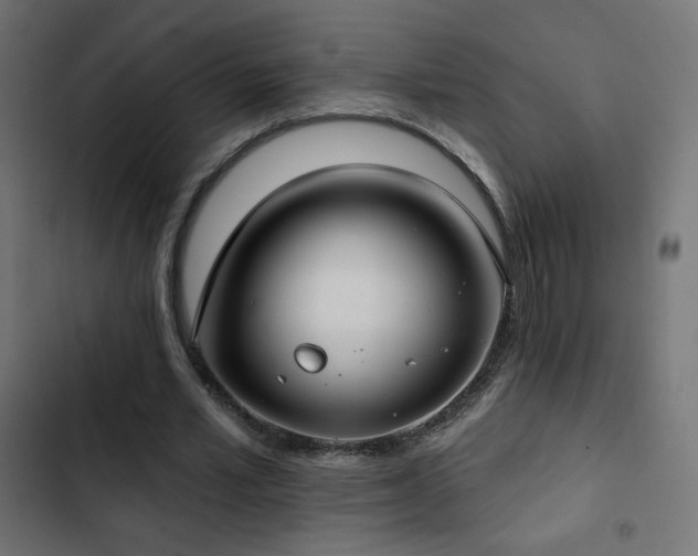 X0000103490581200809121717