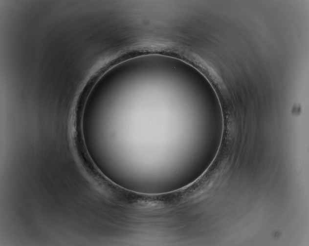 X0000103490582200809121717