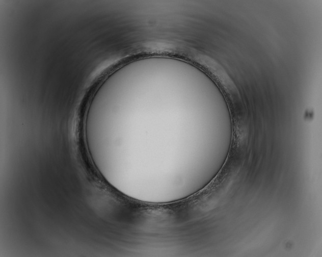 X0000103490583200809121717