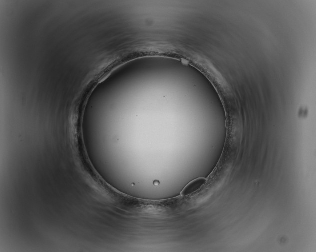 X0000103490585200809121717