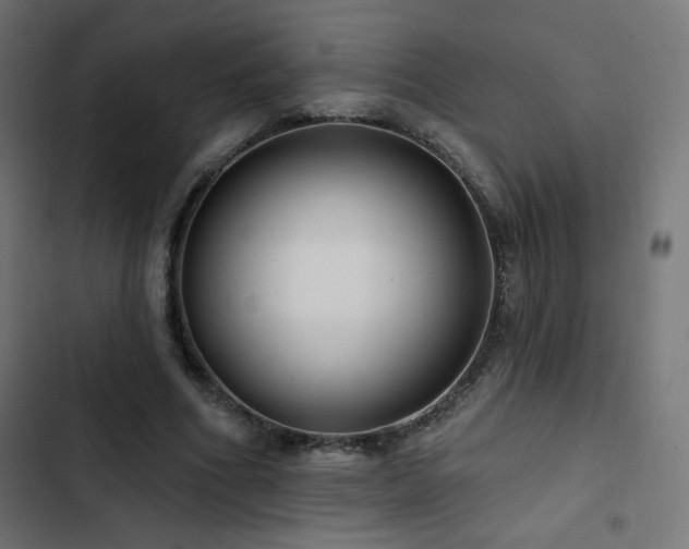 X0000103490586200809121717