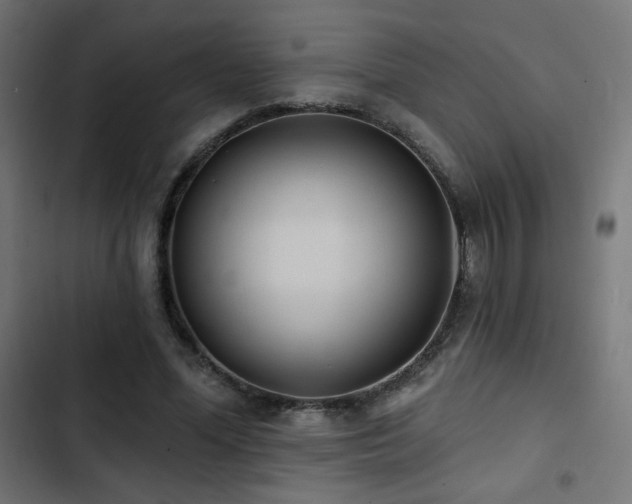 X0000103490588200809121717