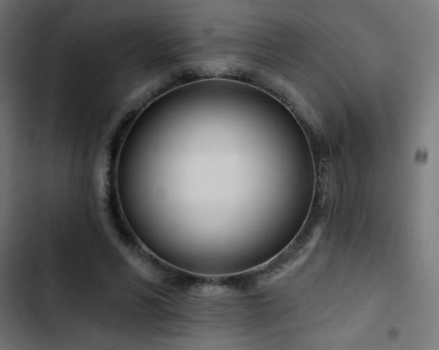 X0000103490590200809121716