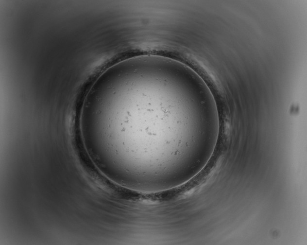 X0000103490592200809121716