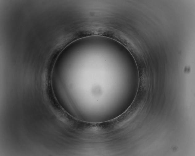 X0000103490594200809121716