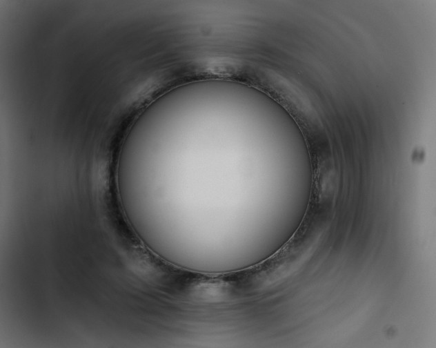 X0000103490595200809121716