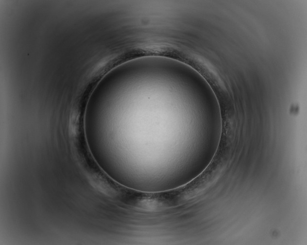 X0000103490596200809121716