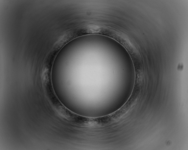 X0000103490598200809121716