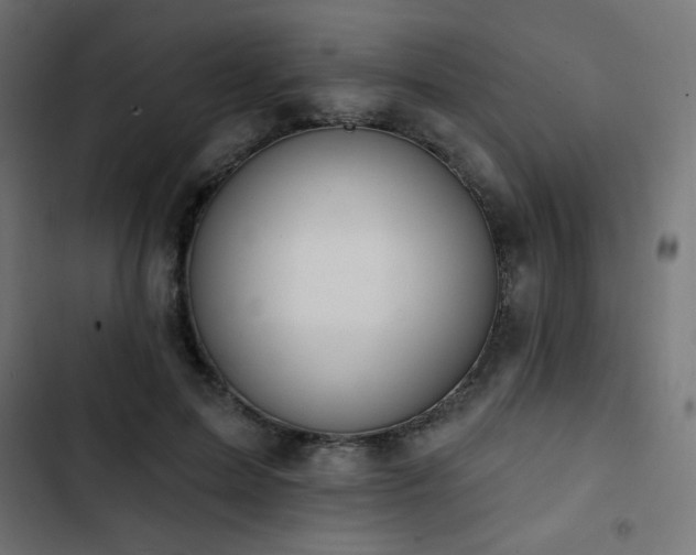 X0000103490599200809121716