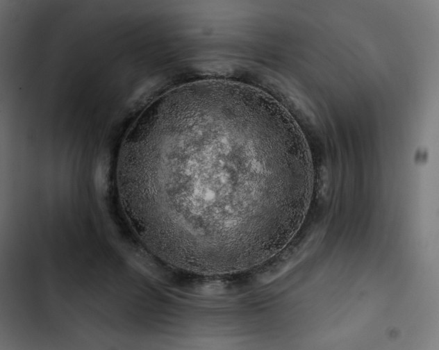 X0000103490600200809121716