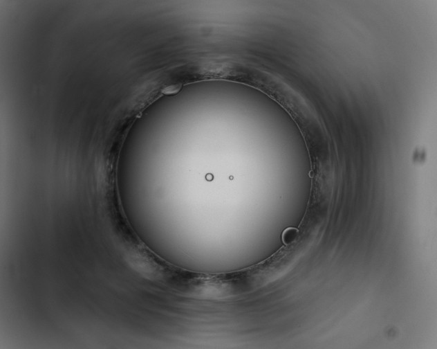 X0000103490601200809121716