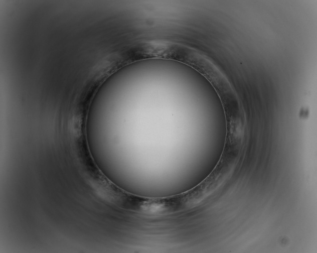 X0000103490602200809121716