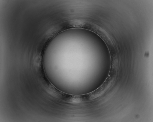 X0000103490604200809121716