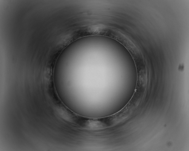 X0000103490605200809121716