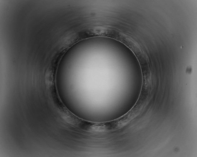 X0000103490606200809121716