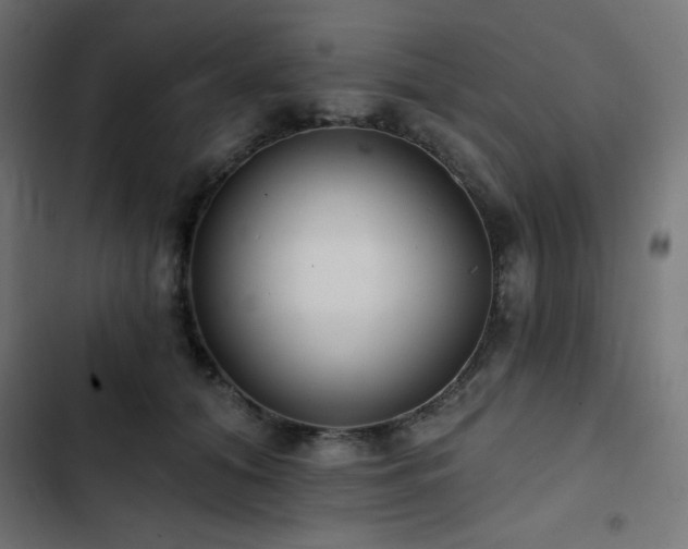 X0000103490608200809121716