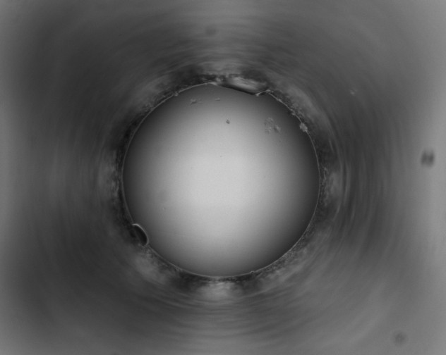 X0000103490609200809121716