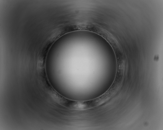 X0000103490610200809121716