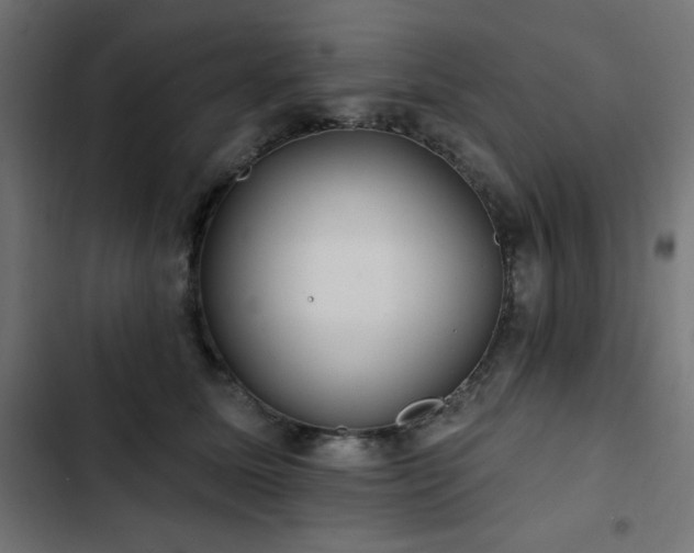 X0000103490611200809121716