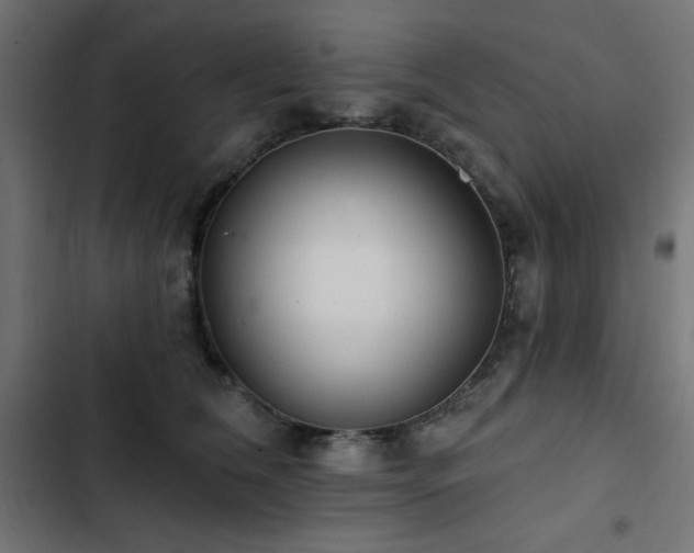 X0000103490612200809121716