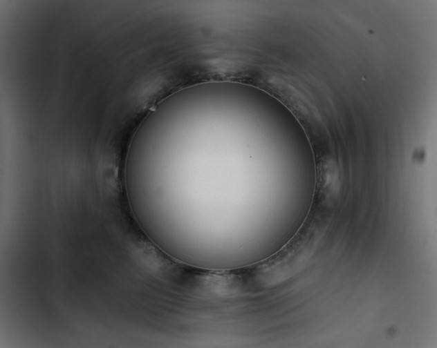 X0000103490615200809121716