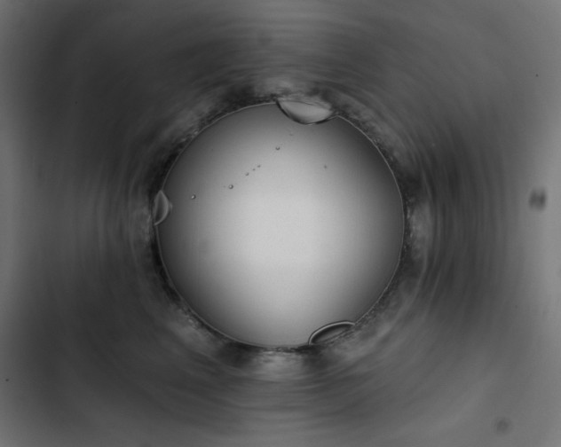 X0000103490617200809121716