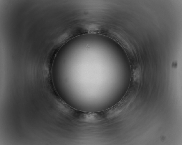 X0000103490618200809121716