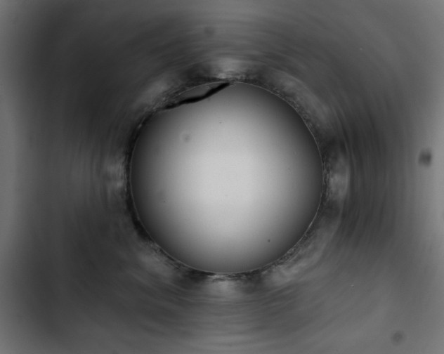 X0000103490620200809121716