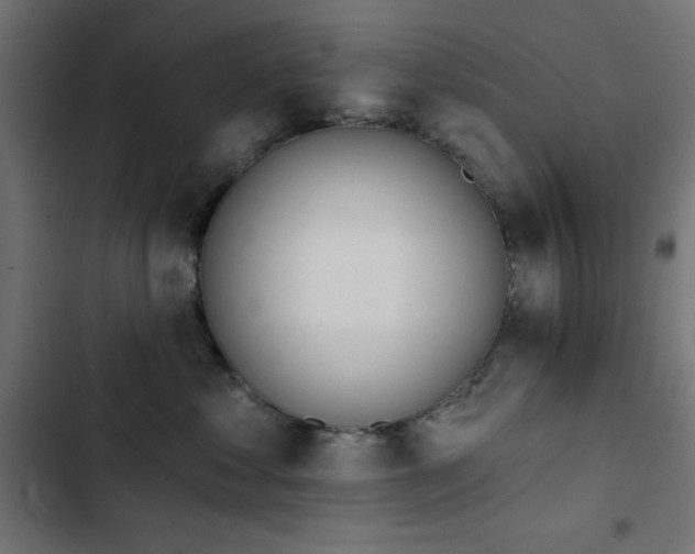 X0000103490621200809121716