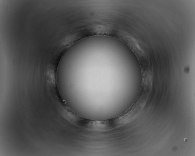 X0000103490622200809121716