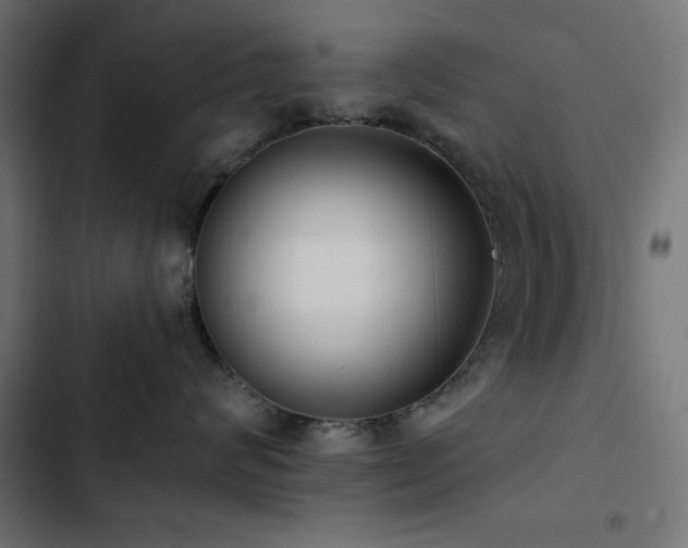 X0000103490624200809121716