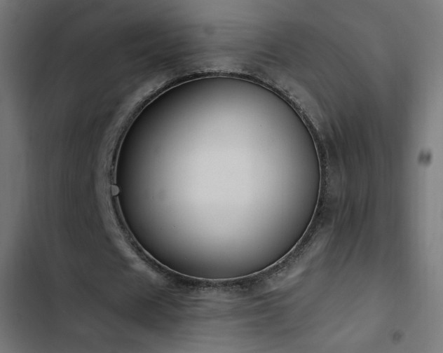 X0000103490625200809121715