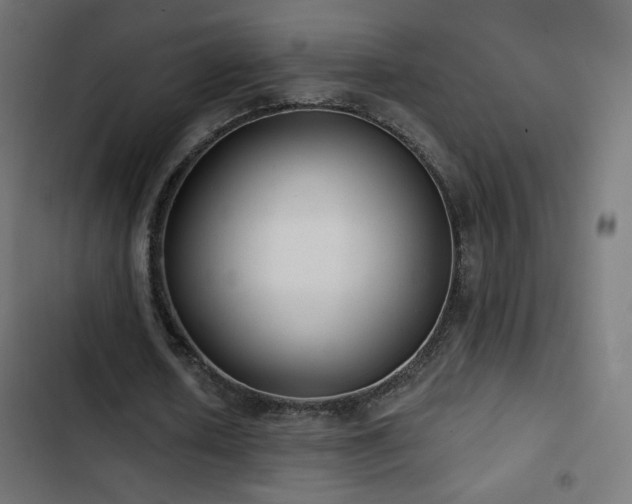 X0000103490626200809121715