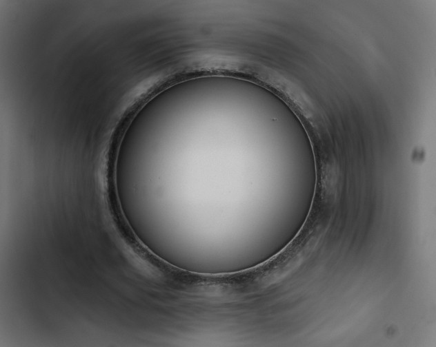 X0000103490629200809121715