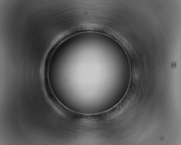 X0000103490630200809121715