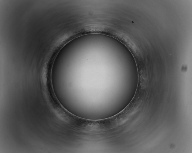 X0000103490631200809121715