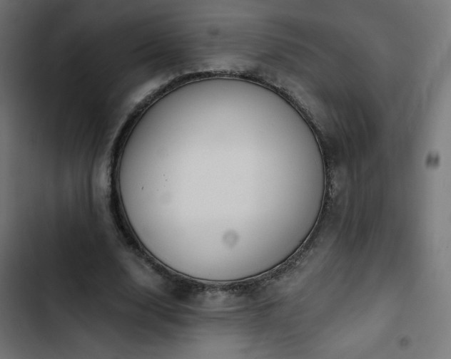 X0000103490632200809121715