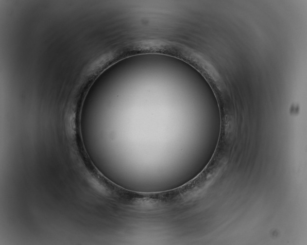 X0000103490633200809121715