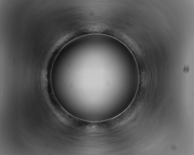 X0000103490634200809121715