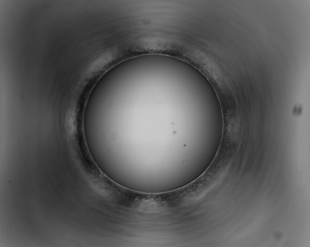 X0000103490635200809121715