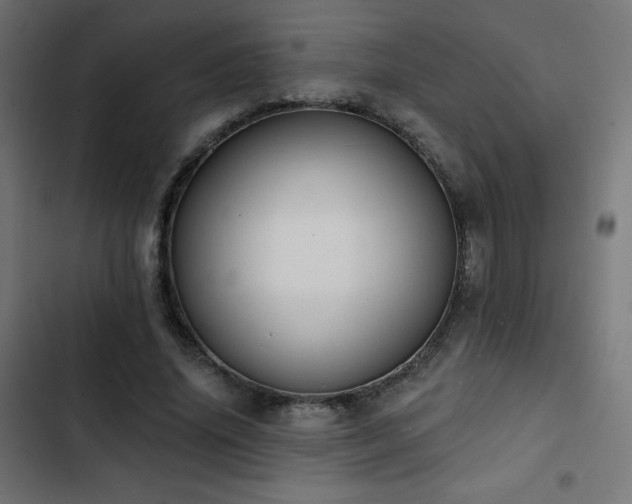 X0000103490636200809121715