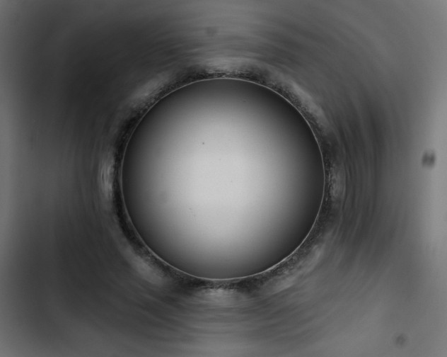 X0000103490637200809121715