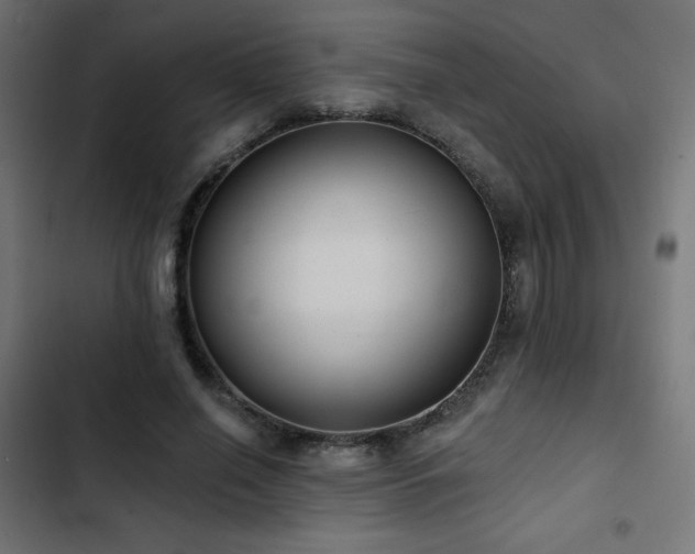 X0000103490638200809121715