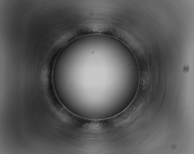 X0000103490639200809121715