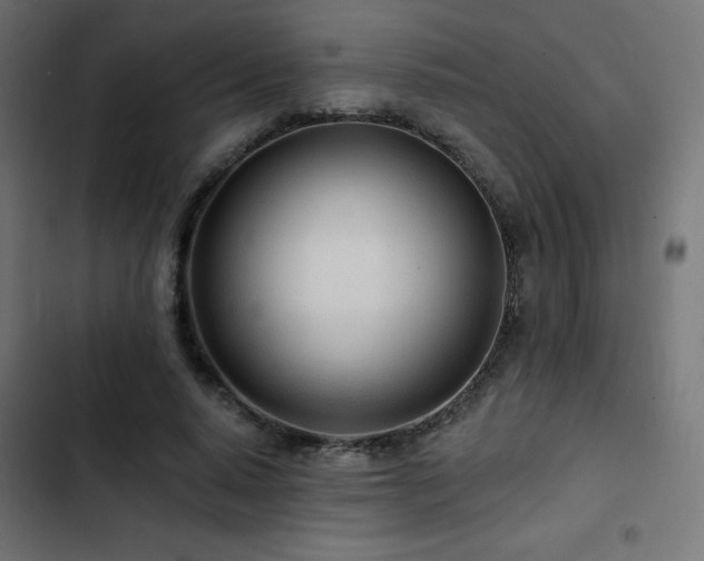 X0000103490640200809121715